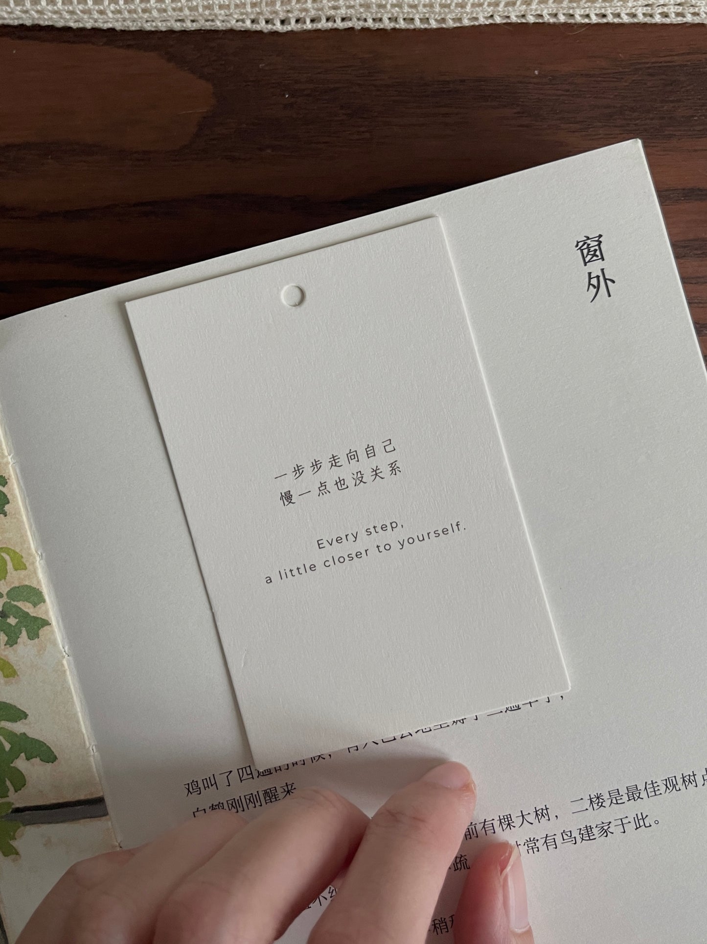 原创 2025 台历【生活,不总是需要意义】2025 Calendar