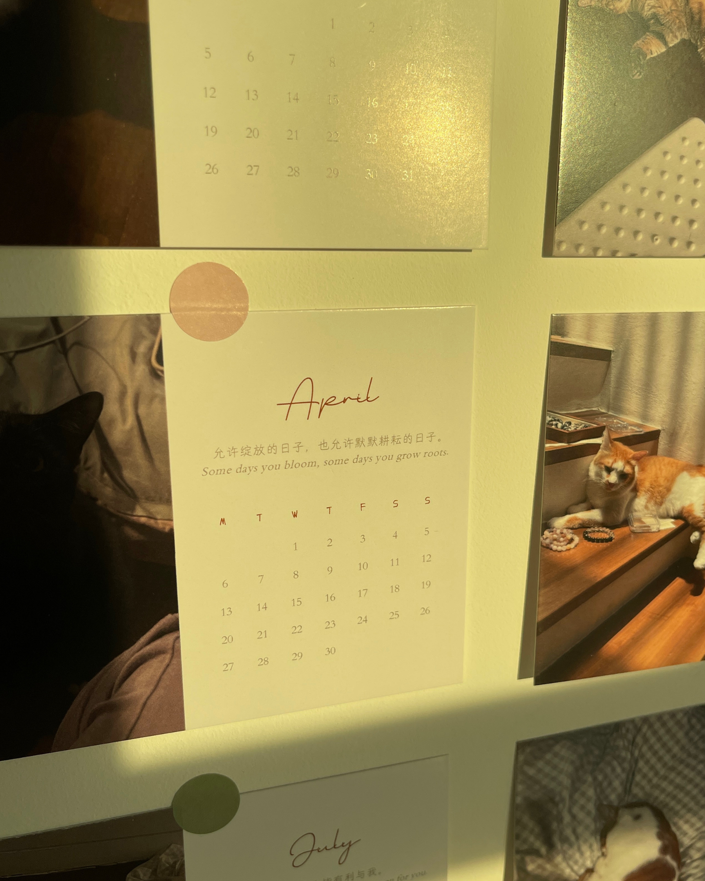 CHIANN 周边：2026年台历【未完待续】