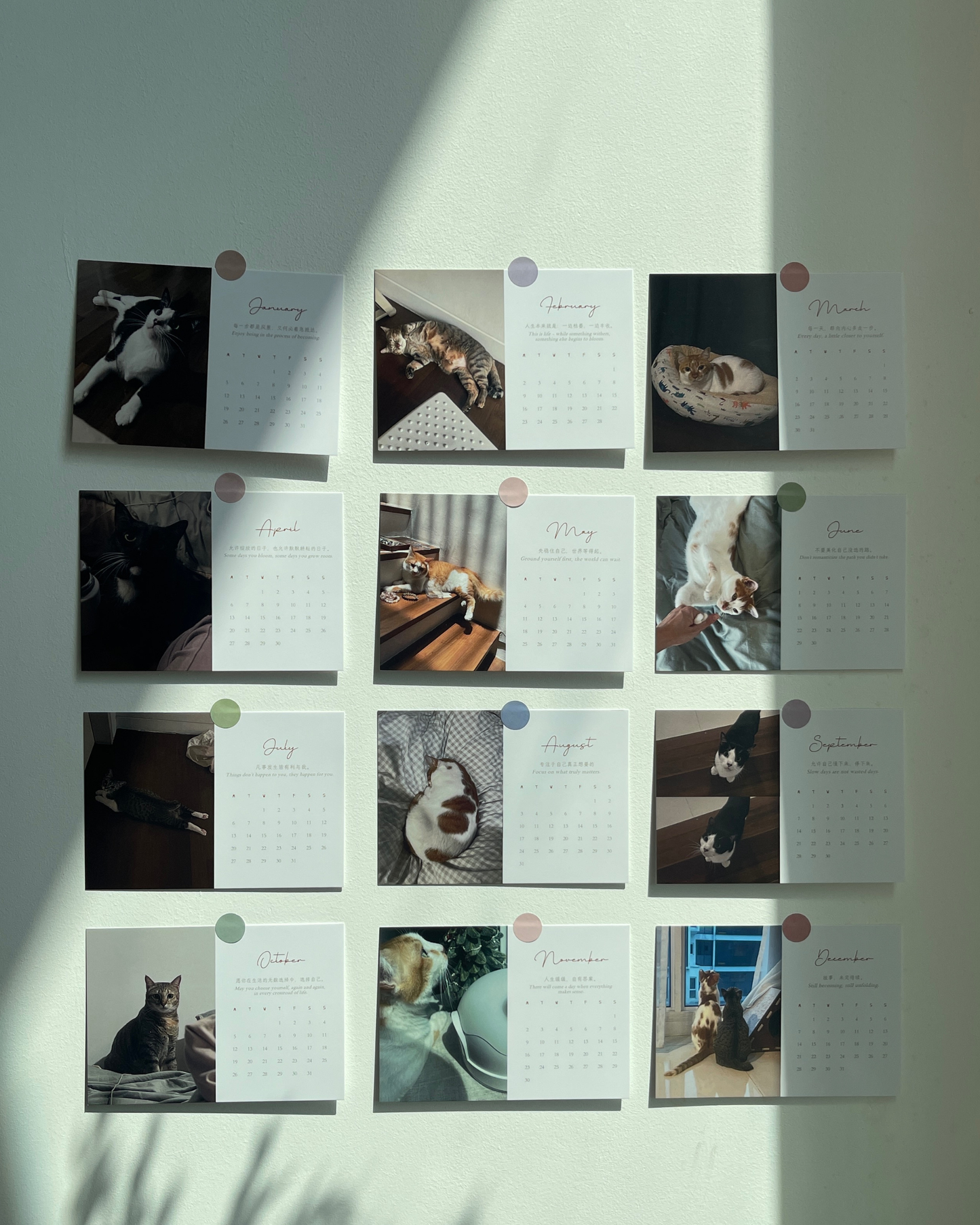 CHIANN 周边：2026年台历【未完待续】