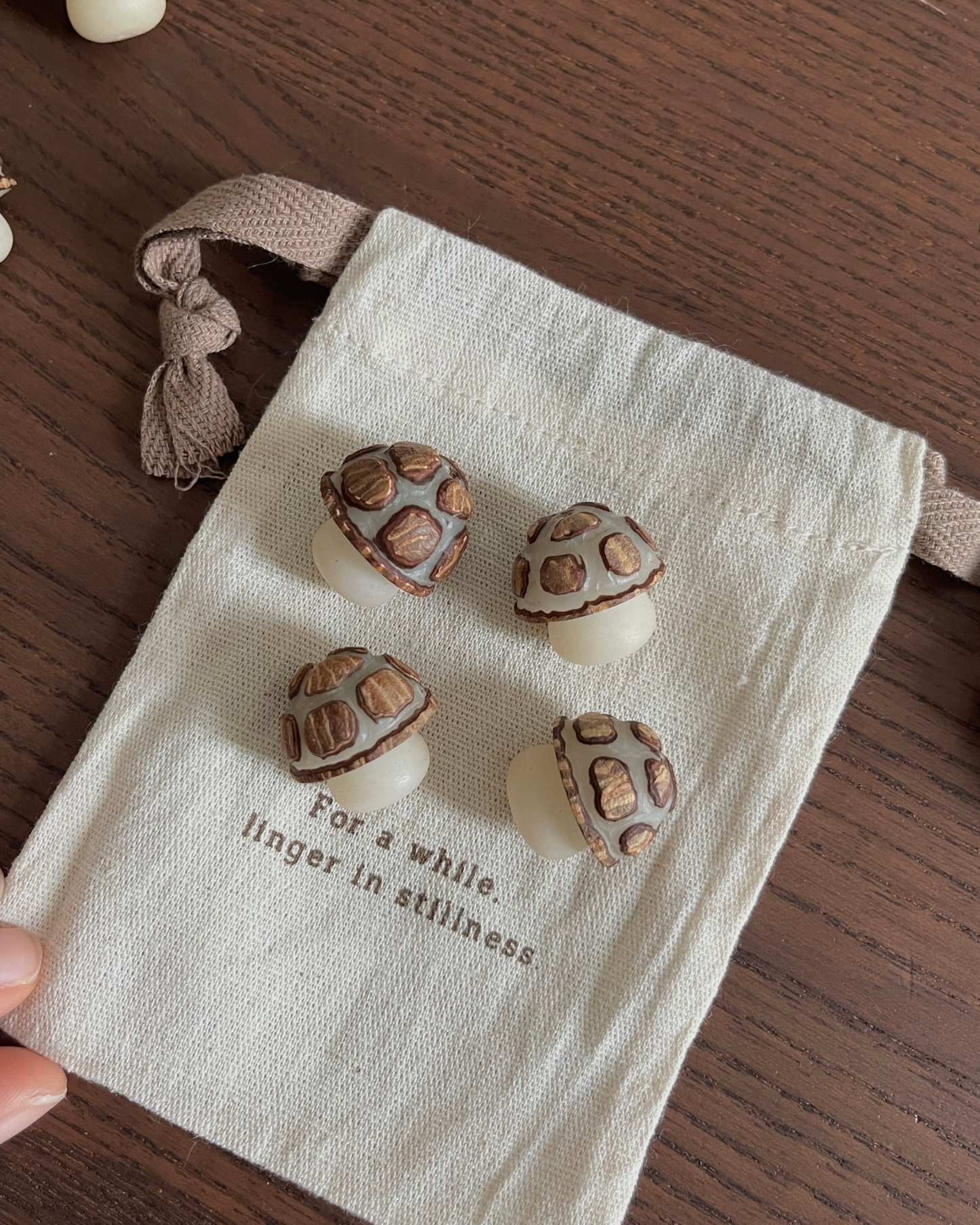 蘑菇蘑菇  Little Mushroom