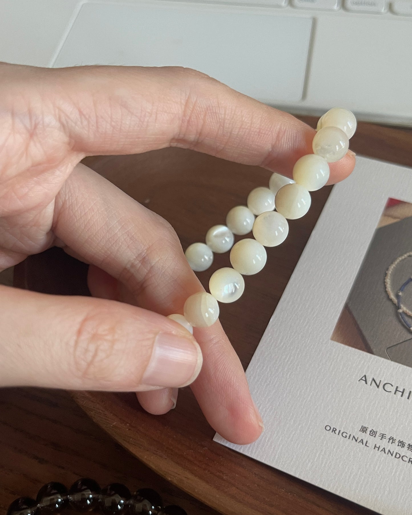 白贝母 Pinctada Albina