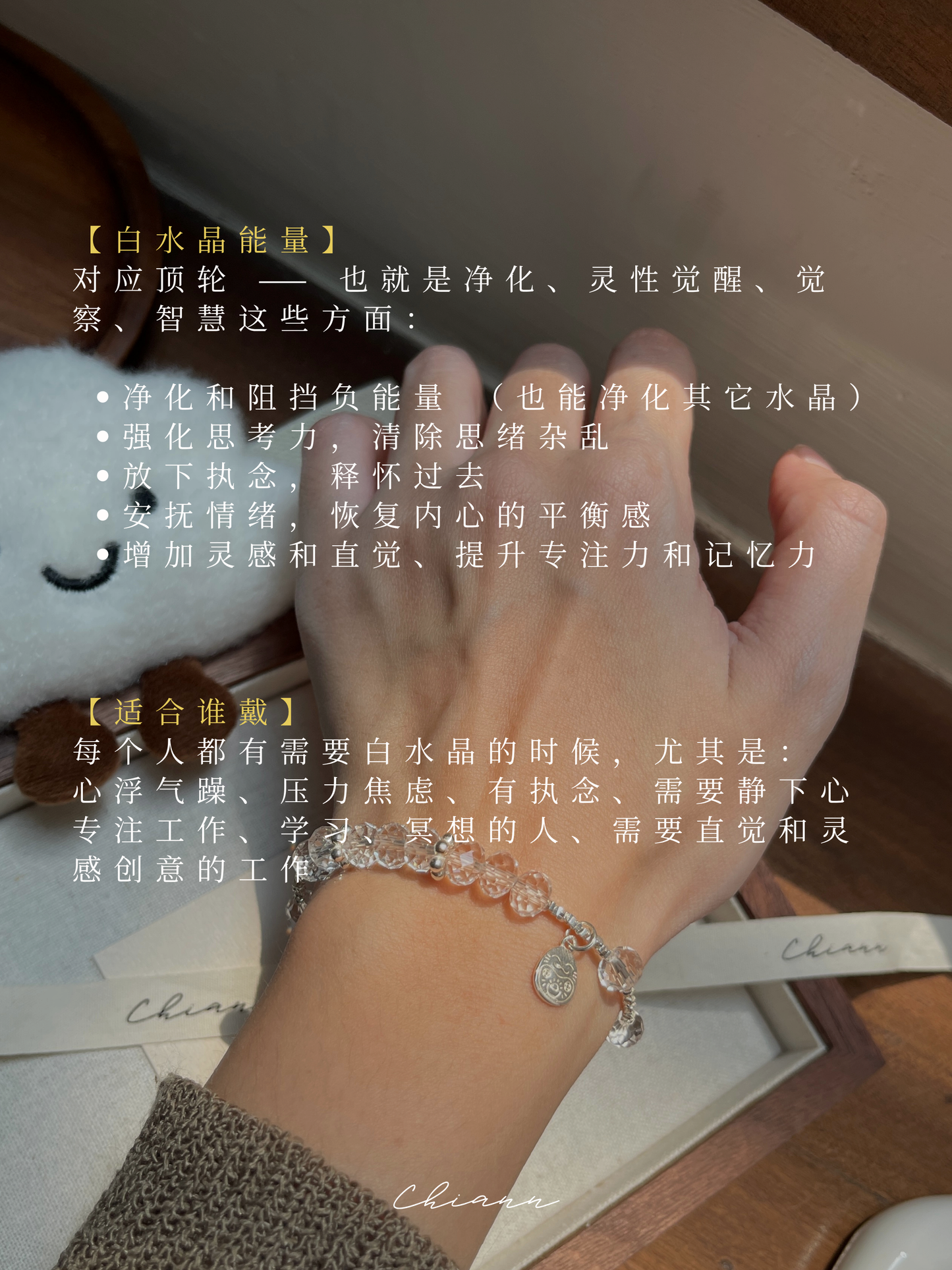 【原创】喵运来 Meow Is Luck