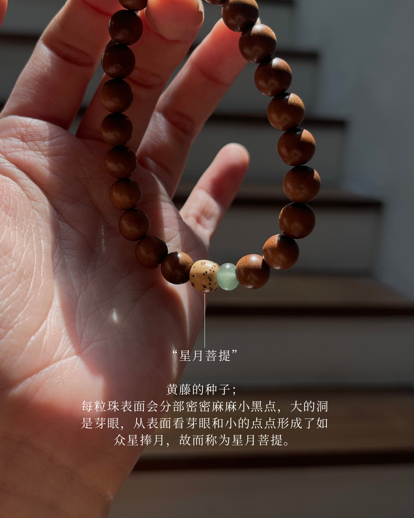 Anchi - 木隐山间 Hidden Groove