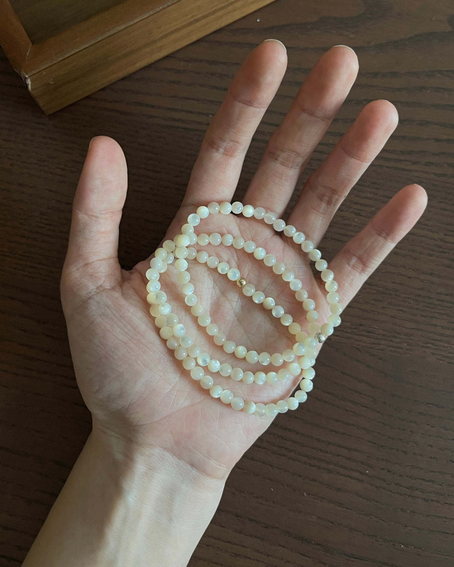 白贝母 Pinctada Albina