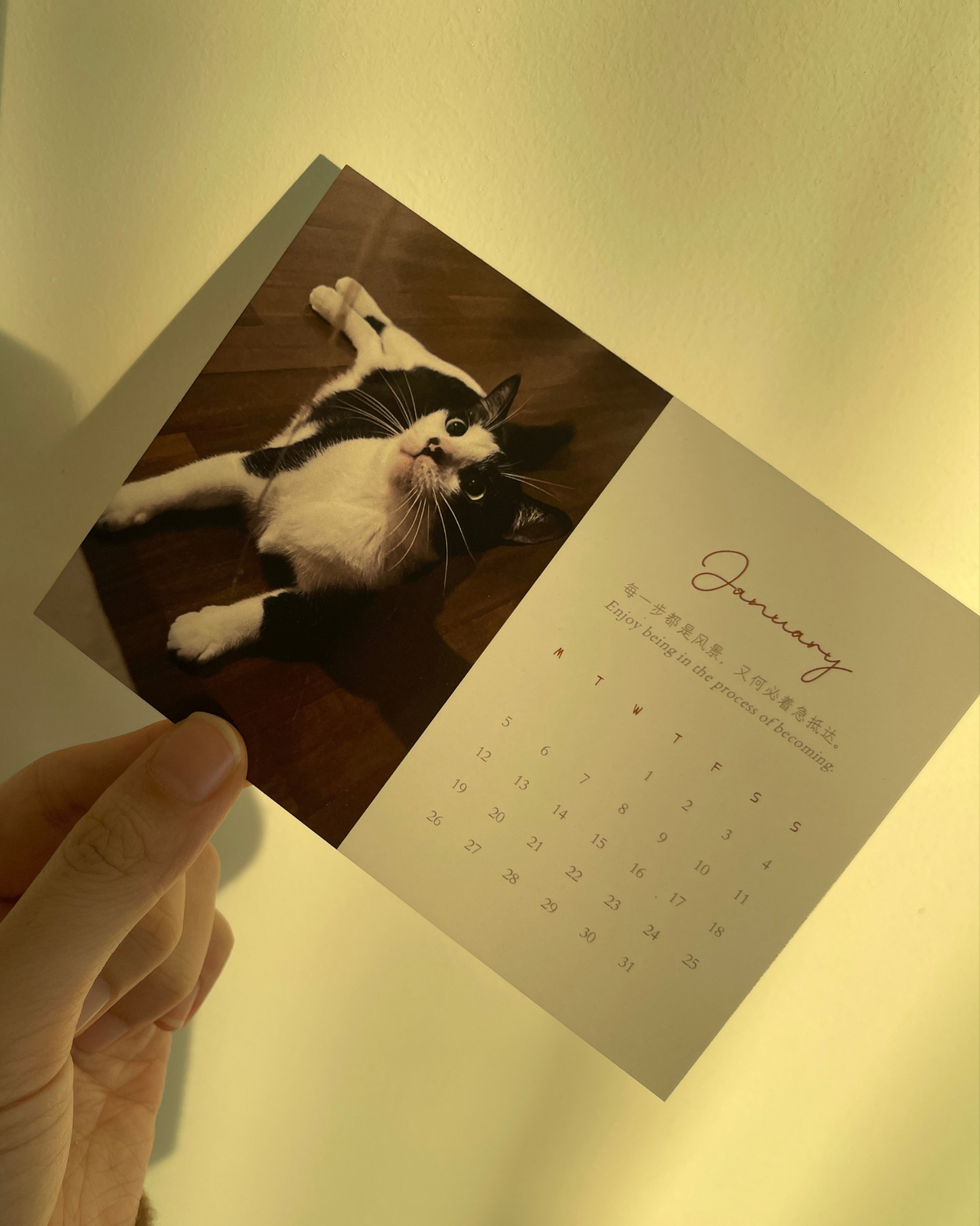 CHIANN 周边：2026年台历【未完待续】