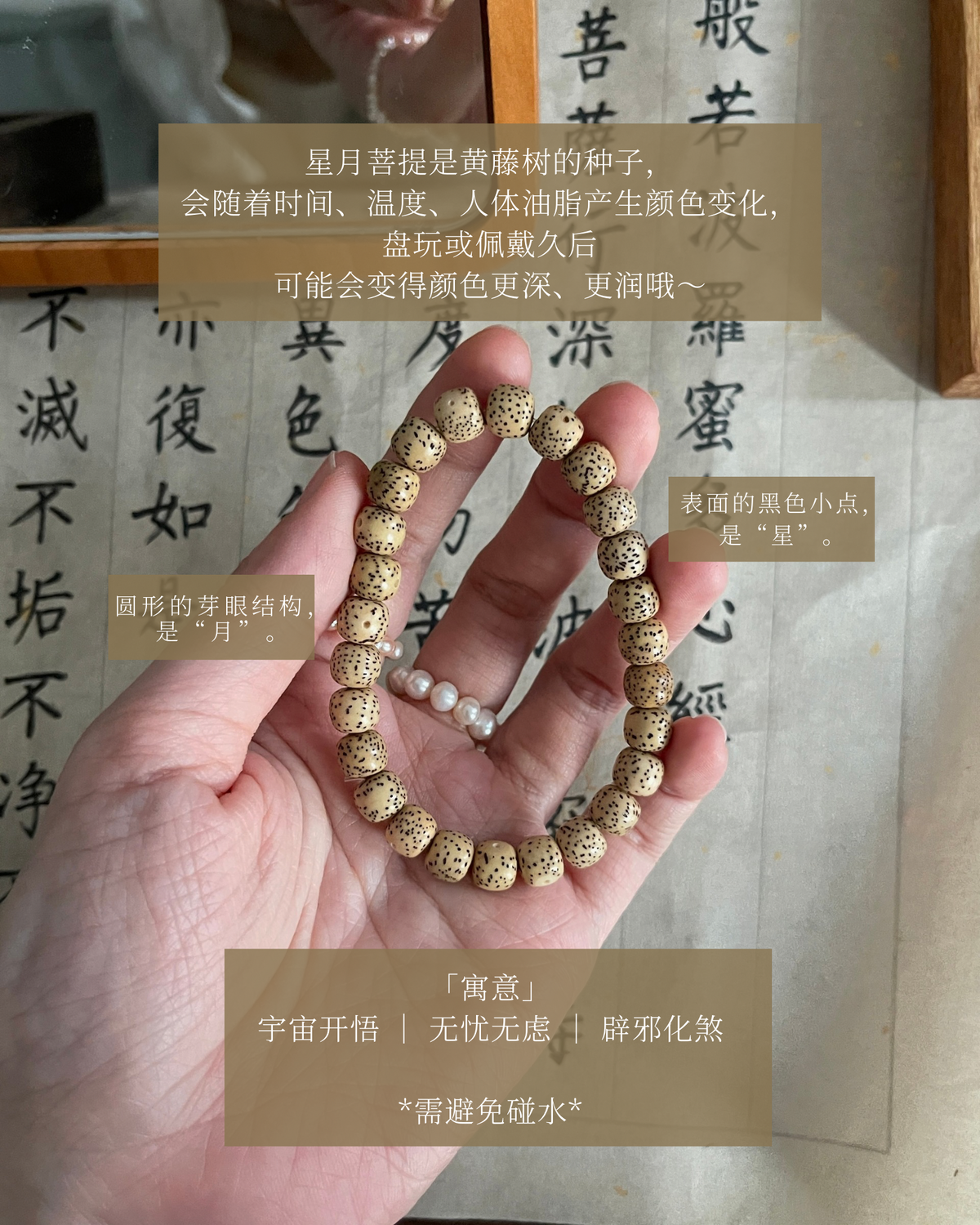 星月菩提老型珠 （素圈）Xingyue Bodhi Seed Bracelet