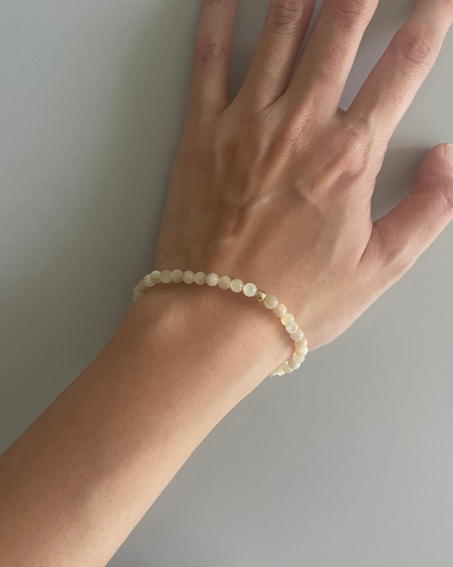 白贝母 Pinctada Albina