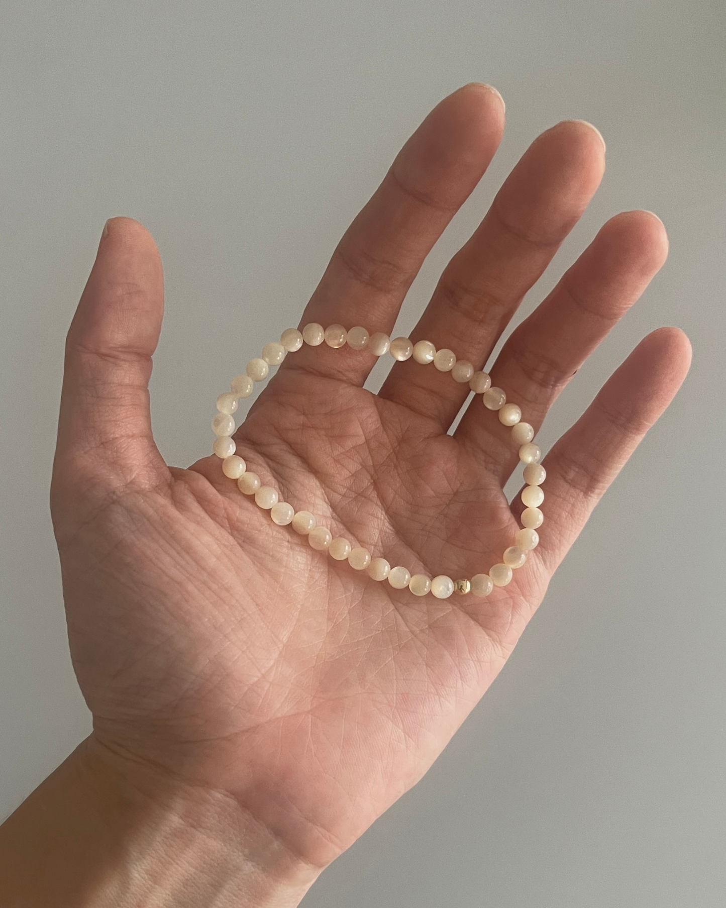 白贝母 Pinctada Albina