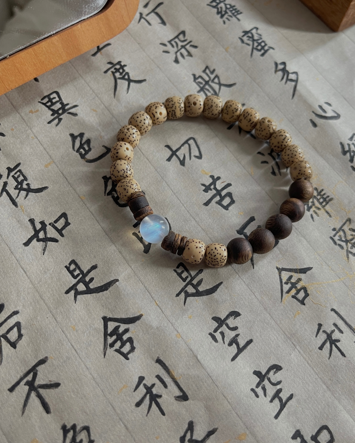 晚灯 Dustlight