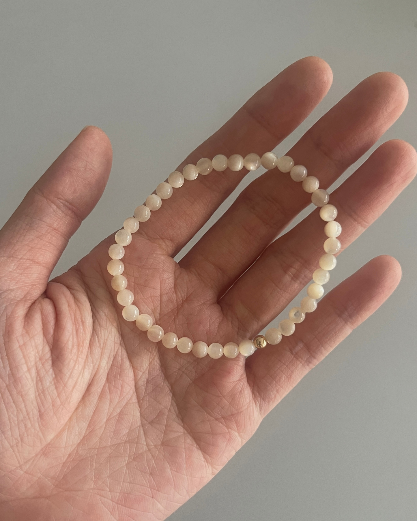 白贝母 Pinctada Albina