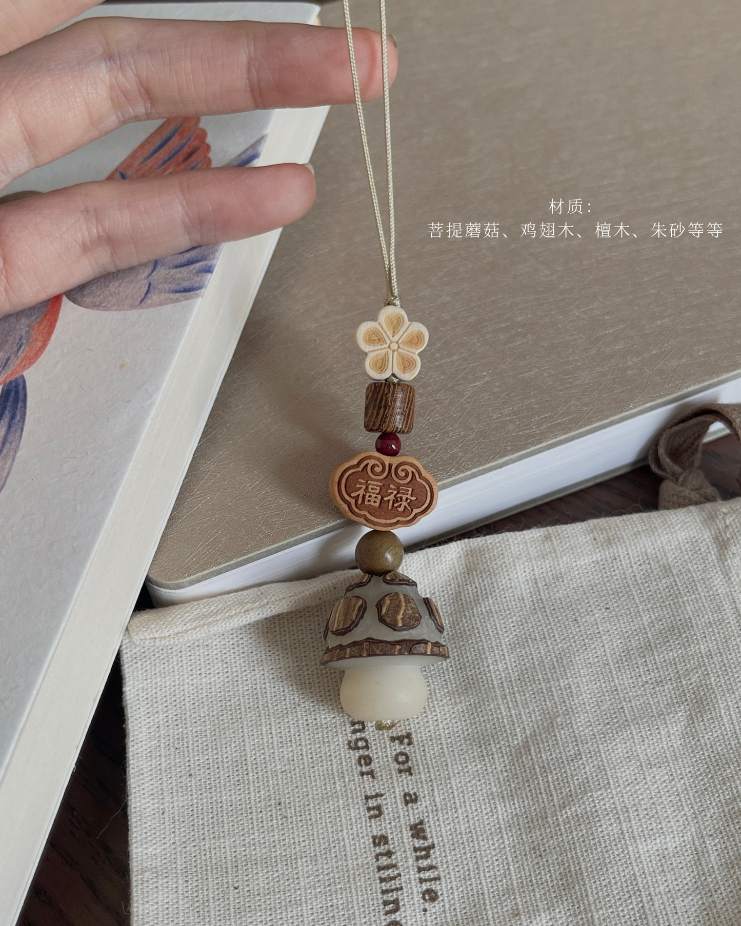 蘑菇蘑菇  Little Mushroom