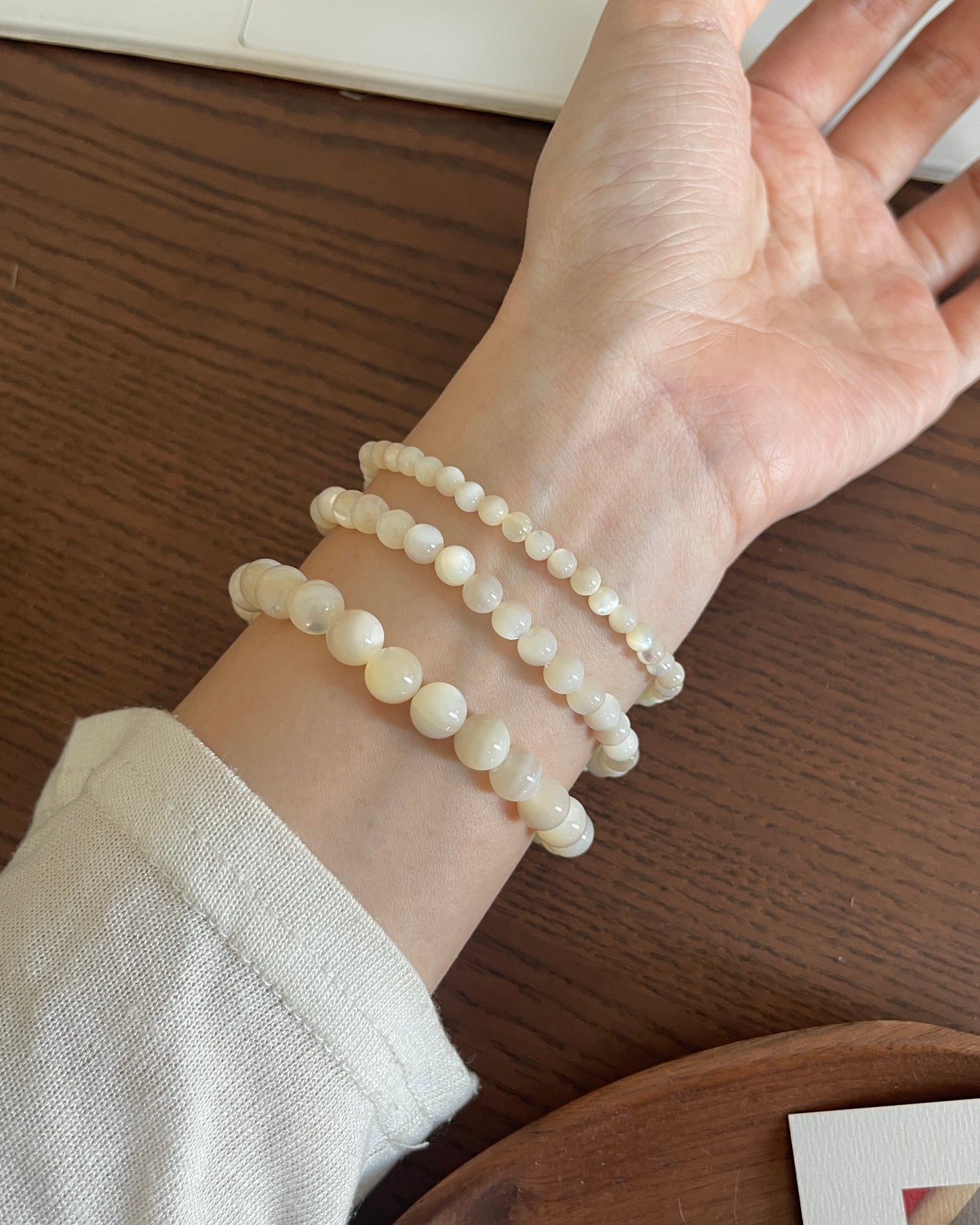 白贝母 Pinctada Albina
